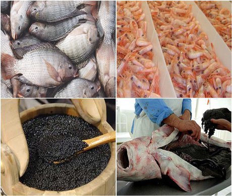 Annual exports of fisheries