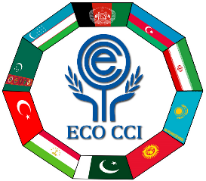 ECOCCI logo 1