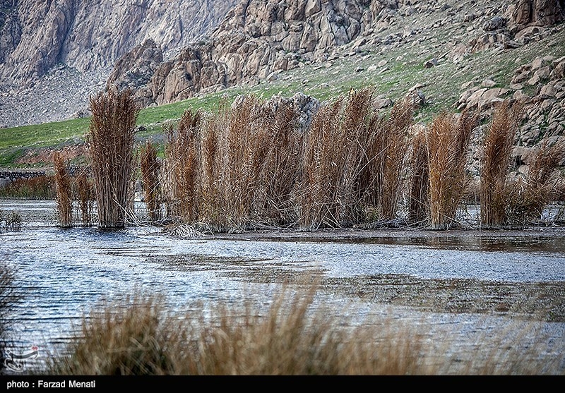 Hashilan Wetland 1