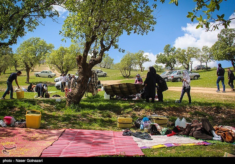 Iranians Picnic 1