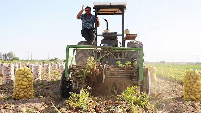 Irans annual agrifood exports hit 6.1 billion