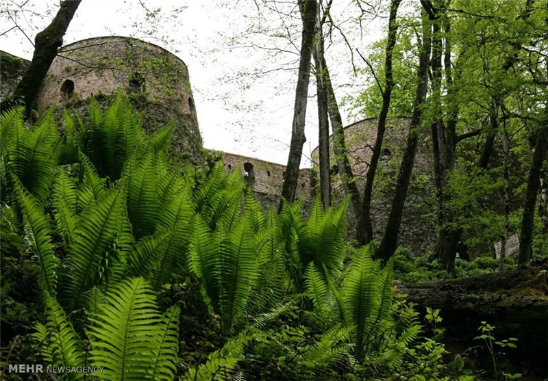 Rudkhan Castle 1