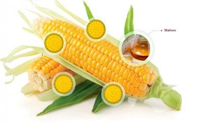 Corn Processing Company